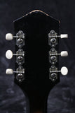 1965 Harmony Meteor Sunburst