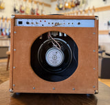 Amplified Nation Steel String Singer