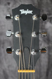 Taylor 110