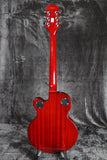 Epiphone Alleykat