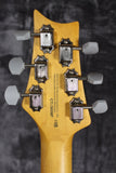 2021 Paul Reed Smith Silver Sky SE